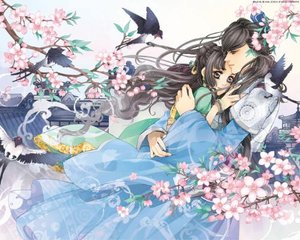 含羞四叶草蜜桃